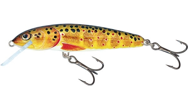 Salmo Wobler Minnow Floating 5cm - Dace