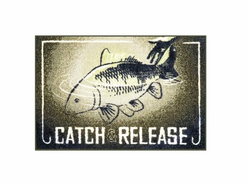 Delphin Rohož Catch and Release
