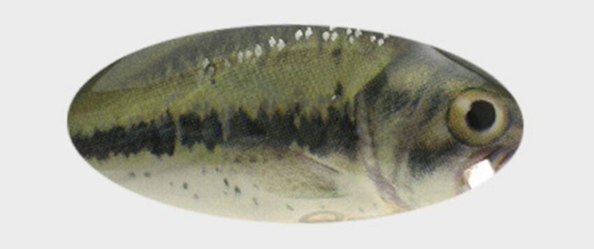 Dorado Wobler Stick BS - 6cm / 4g
